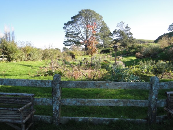 hobbiton-new-zealand (14)