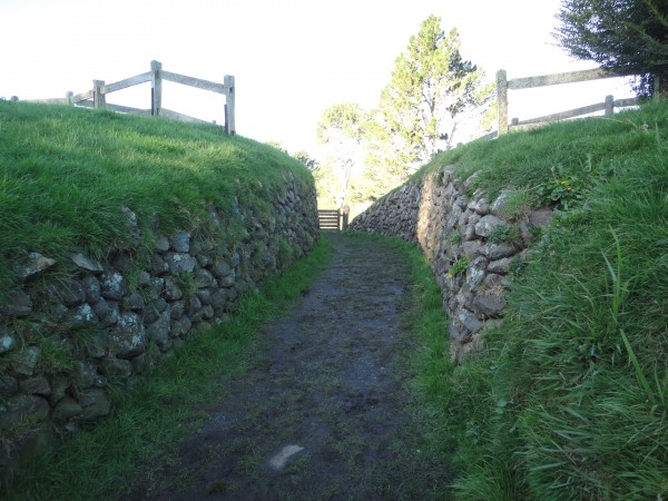 hobbiton-new-zealand (19)