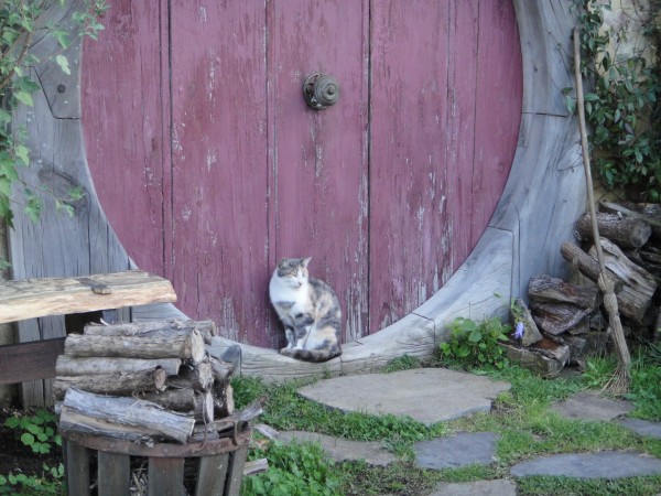 hobbiton-new-zealand