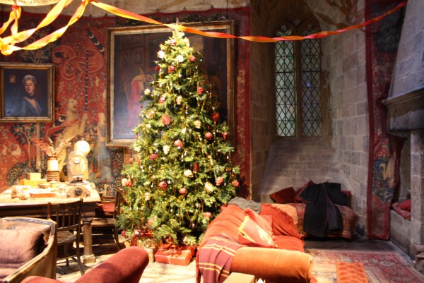 Tour Harry Potter Studio Londres Imagen (54)