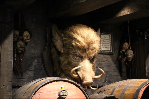 wizarding-world-of-harry-potter-hogs-head-12