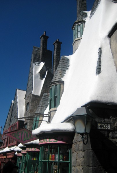 wizarding-world-of-harry-potter-hogsmeade-50