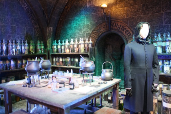 Tour Harry Potter Studio Londres Imagen (79)